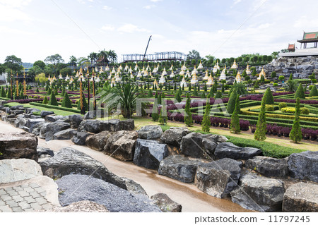 Nong Nooch tropical garden 11797245