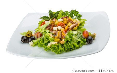 Octopus salad 11797420