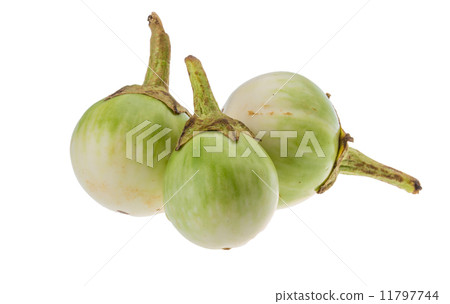 Asian eggplant Asian eggplant 11797744