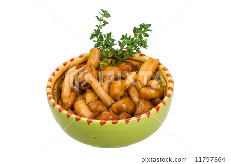 Armillaria Armillaria 11797864