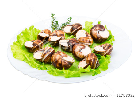 Escargot 11798052