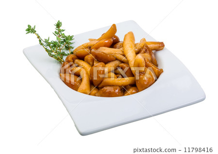 Armillaria Armillaria 11798416