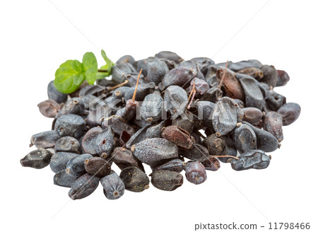 Dry Berberis Dry Berberis 11798466