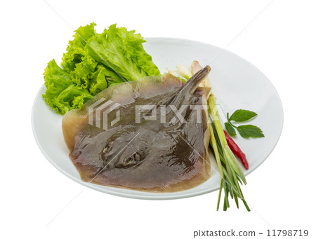 Raw Batoidea Raw Batoidea 11798719