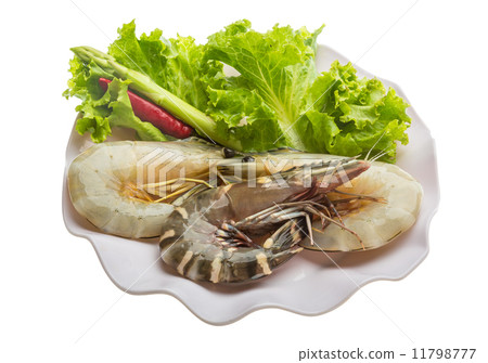 King and waterleg shrimps King and waterleg shrimps 11798777