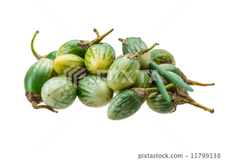 照片 asian eggplant 首頁 照片 蔬菜_食品 蔬菜 茄子 asian eggplant