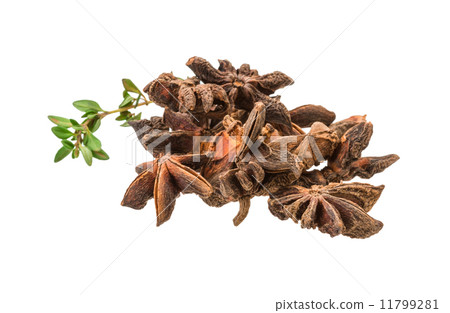 Star-anise 11799281