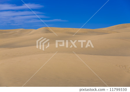 Maspalomas Duna - Desert in Canary island Gran Canaria 11799330