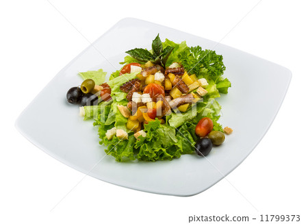 Octopus salad 11799373