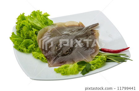 Raw Batoidea 11799441