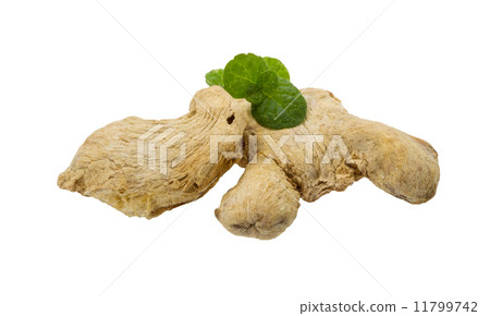 Ginger with mint leaf Ginger with mint leaf 11799742
