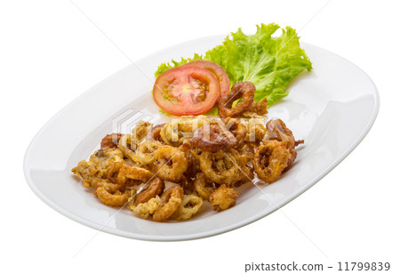 Fried squid rings Fried squid rings 11799839