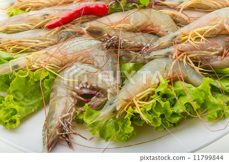 Raw tiger shrimps 11799844