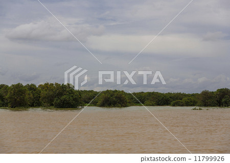 Tonle Sap lake 11799926