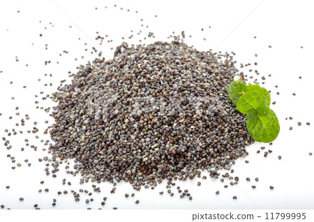 Poppies seeds 11799995