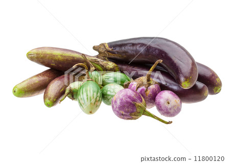 Asian egg-plant assortie Asian egg-plant assortie 11800120