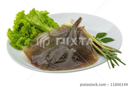 Raw Batoidea Raw Batoidea 11800149