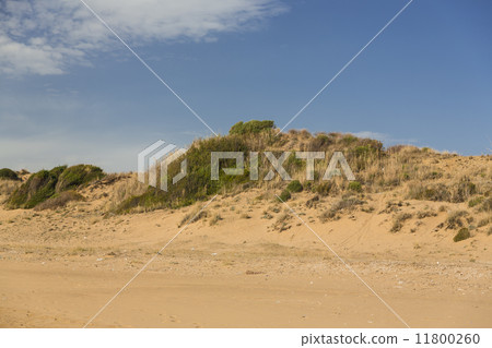 Desert duna Desert duna 11800260