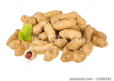 Peanut Peanut 11800285