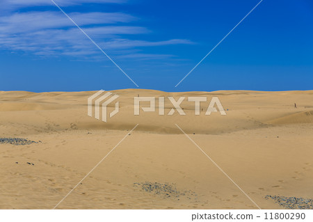 Maspalomas Duna - Desert in Canary island Gran Canaria 11800290