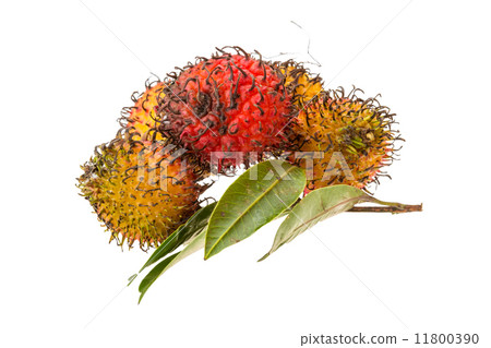 Rambutan Rambutan 11800390