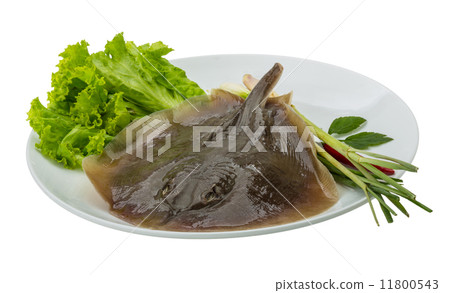 Raw Batoidea Raw Batoidea 11800543