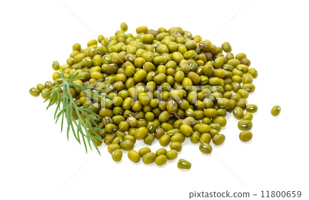 Green dry beans 11800659