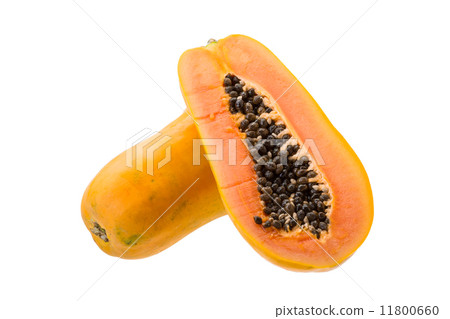 Papaya 11800660