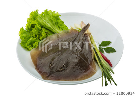 Raw Batoidea Raw Batoidea 11800934