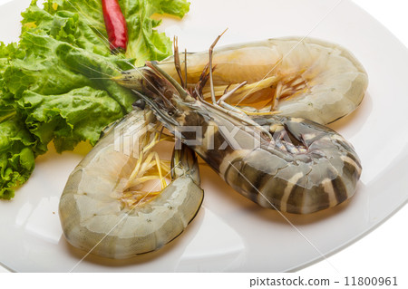 King and waterleg shrimps King and waterleg shrimps 11800961