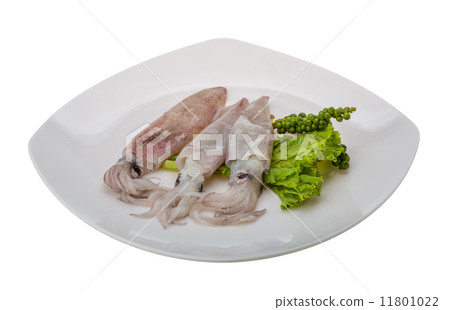 Raw calamari 11801022