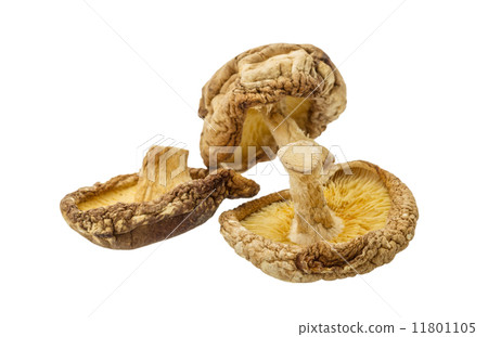 Dry asian mushroom 11801105