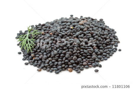 Black lentils heap 11801106