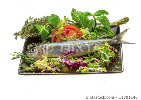 Fresh Herring Fresh Herring 11801146
