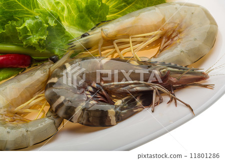 King and waterleg shrimps King and waterleg shrimps 11801286