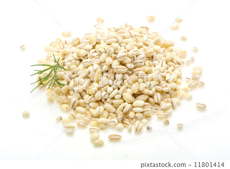 Pearl barley Pearl barley 11801414