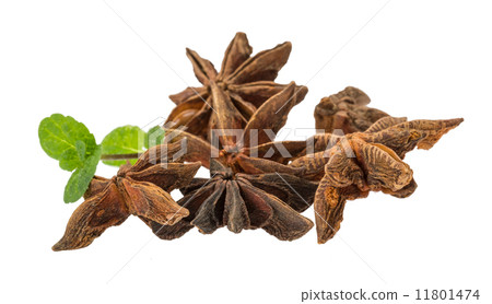 Star-anise 11801474