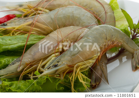 Raw tiger shrimps Raw tiger shrimps 11801651