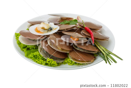 Raw fresh scallops 11802022