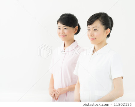 護士 護士 11802155