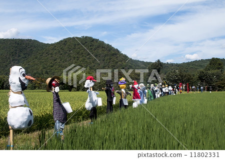Rural scenery of Kita Saga 11802331