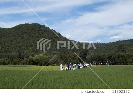 Rural scenery of Kita Saga 11802332