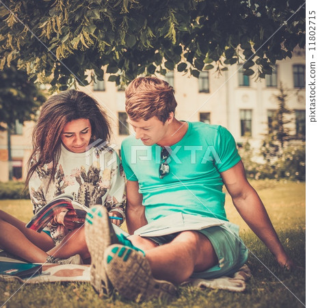 Multi ethnic students couple preparing for final exams in a city park 11802715