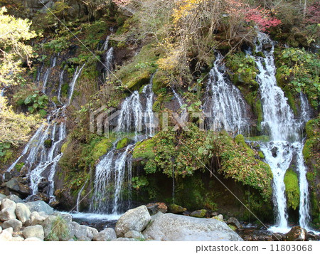 Falls of Autumn Dragon 11803068