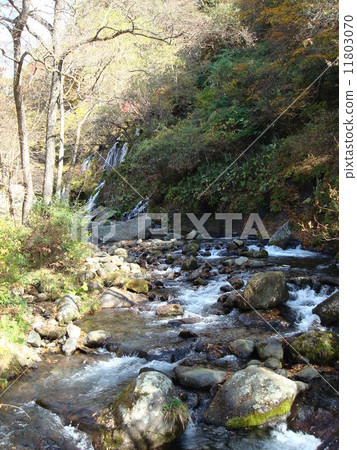 Kawamata River valley in autumn (near the waterfall of Dragon) 11803070