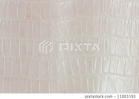 壓紋皮革 11803193