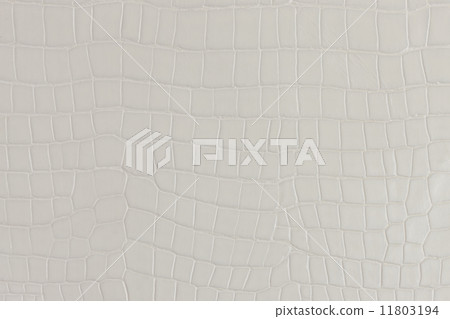 壓紋皮革 11803194