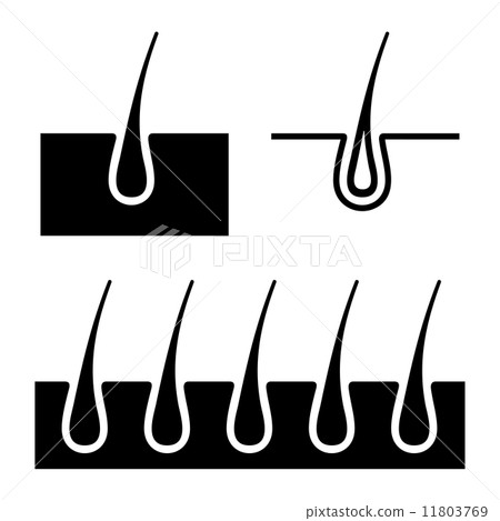 Hair Follicle Icons Set. Vector Hair Follicle Icons Set. Vector 11803769