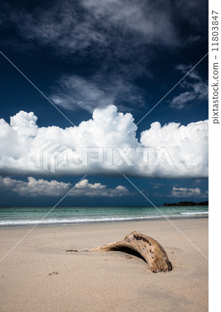 Sand beach and dark blue sky Sand beach and dark blue sky 11803847