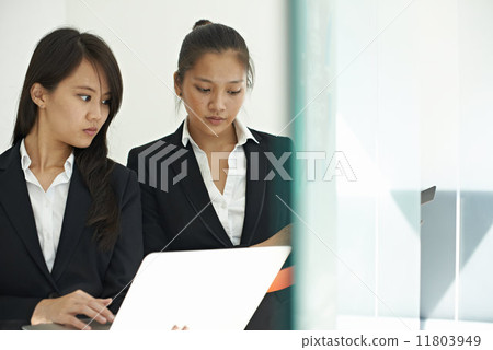 Mutual Discussion 11803949